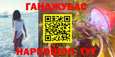 шишки Кимры
