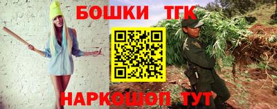 дживик Камышлов
