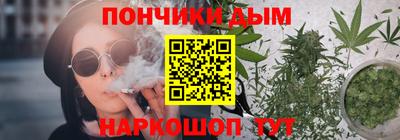шишки Кимры