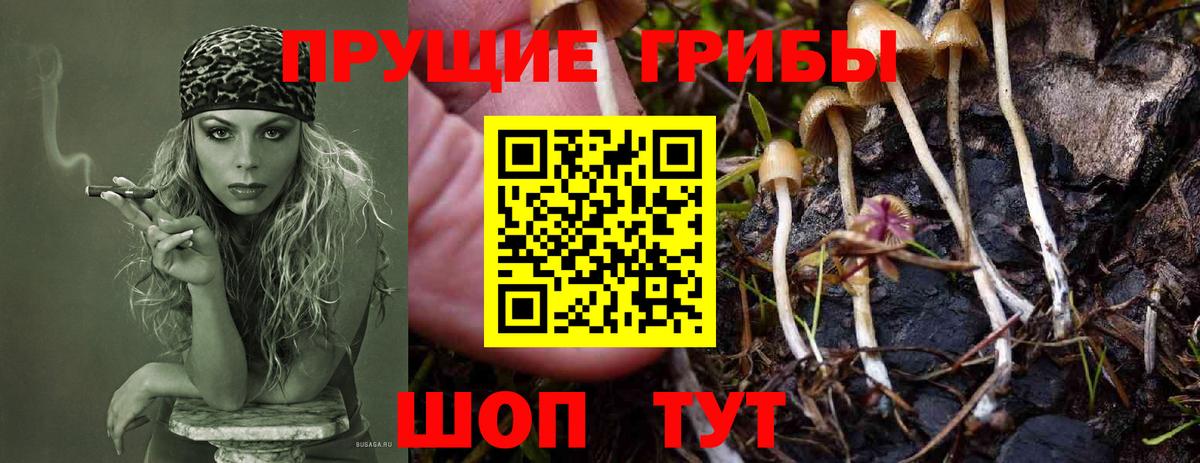 Красноярск  Псилоцибиновые грибы мухоморы  Вход с VPN 